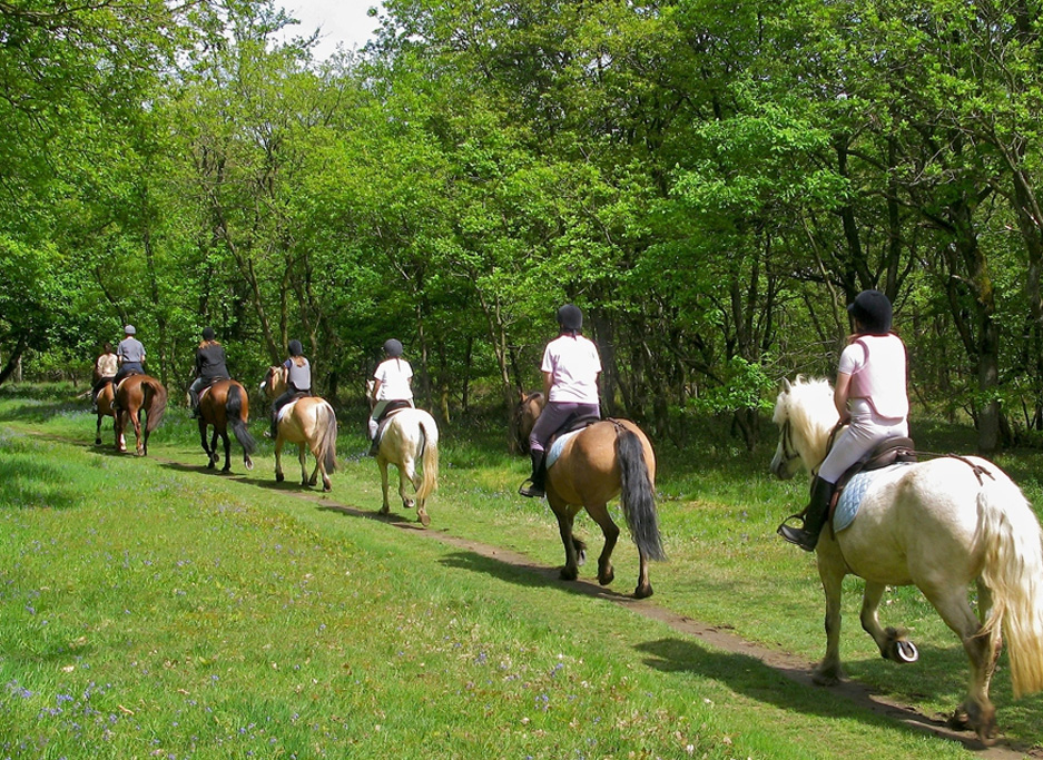 agriturismo-in-maremma-cavallo