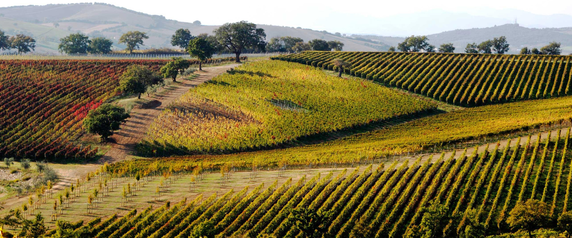 agriturismo-in-maremma-magliano-in-toscana-SERVIZI