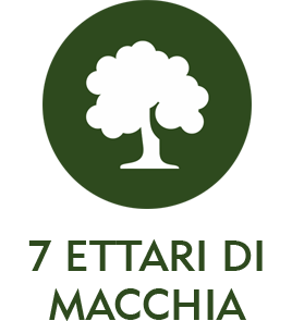 magliano-in-toscana-agriturismo-con-7-ettari-di-macchia