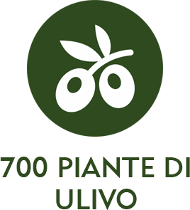 magliano-in-toscana-agriturismo-con-700-piante-di-olivo